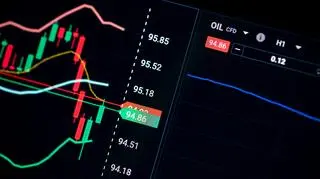 Nie zapaliły się lampki ostrzegawcze. "15 tysięcy złotych na minusie"