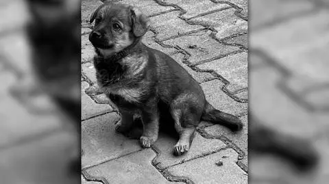 Misia miała pięć miesięcy