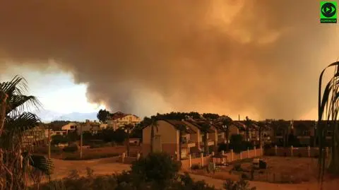 Wzrósł bilans ofiar pożarów w Turcji, sytuacja nie jest opanowana. "Ogień było widać z każdej strony hotelu"