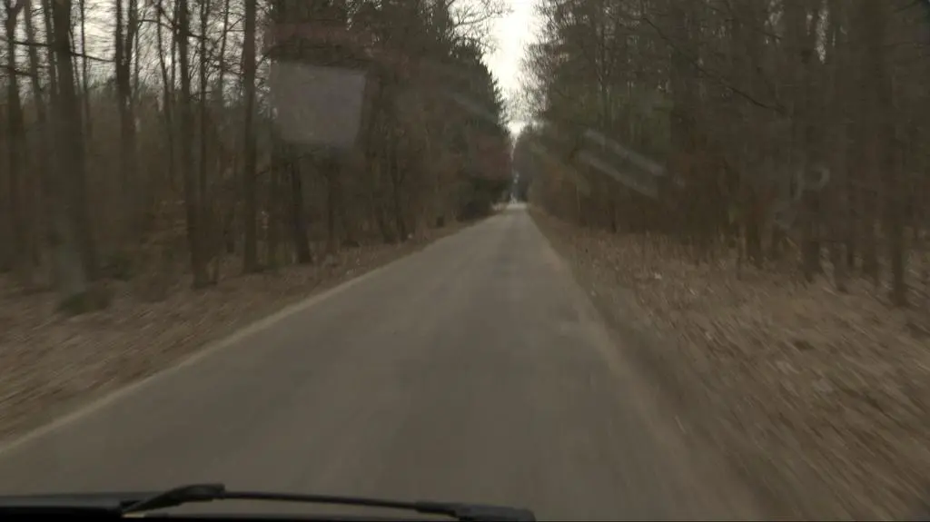 Srebrna pod Płońskiem. Tu od lat wyrzuca się psy