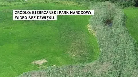 Biebrzański Park Narodowy