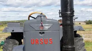 Stary Ursus