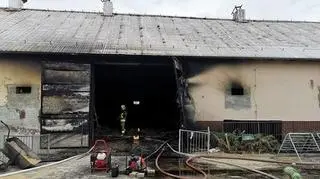 Strażacy otrzymali wezwanie około godz. 9