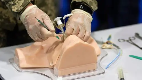 shutterstock_2617230829