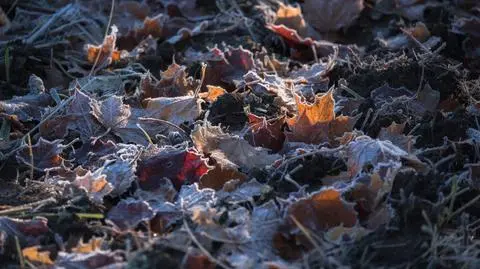 shutterstock_2695462255