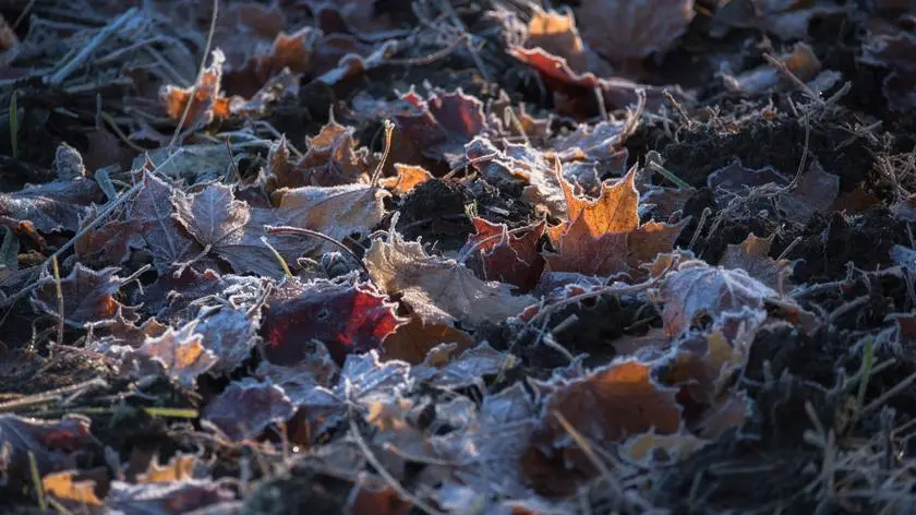 Pogoda na jutro - piątek, 7.11. Miejscami wystąpią przymrozki