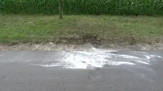 Miejsce zbrodni na drodze do Lasopola