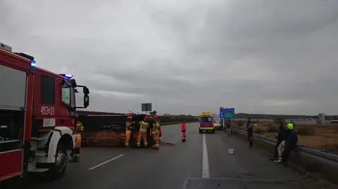 Zderzenie busów na A1