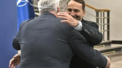 Sikorski i Sybiha. Ministrowie spraw zagranicznych Polski i Ukrainy