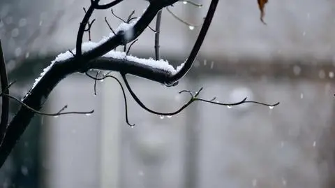 Deszcz ze śniegiem, śnieg