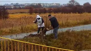 Amstaff zaatakował ludzi i psa na wrocławskim osiedlu Kowale