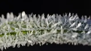 Mocny spadek temperatury. Ostrzeżenia niemal w całej Polsce