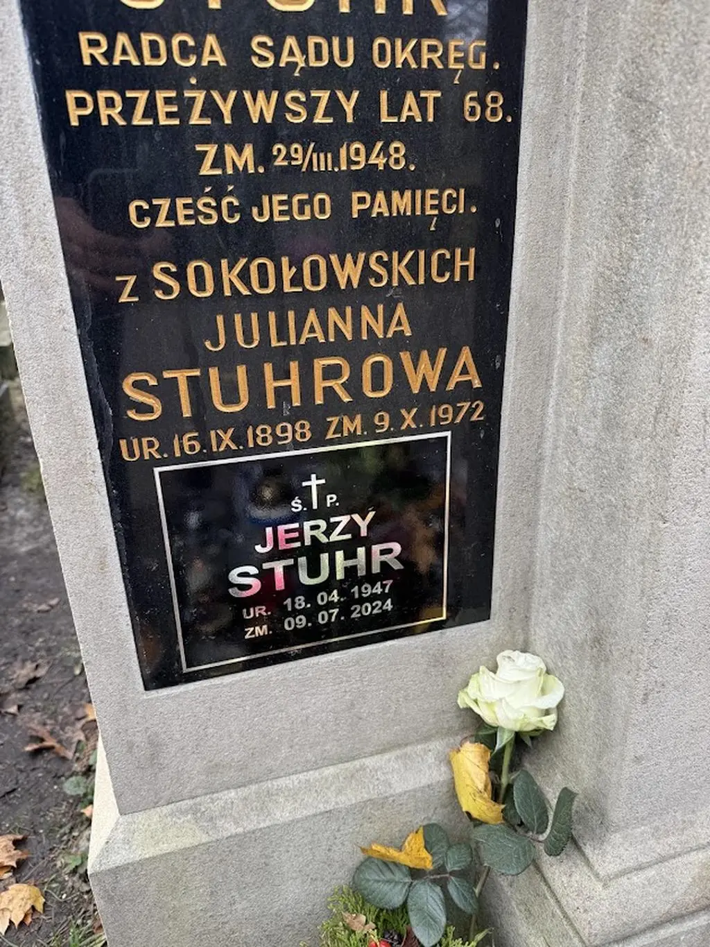 Grób rodziny Stuhrów