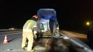 Trzeba było uśpić konia 