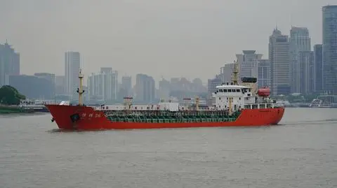 shutterstock_2434192693