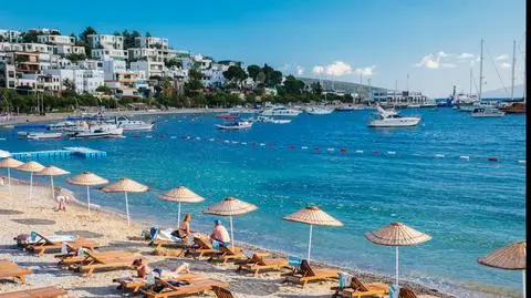 shutterstock_1430700617