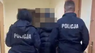 Dwóch nastolatków pobiło koleżankę