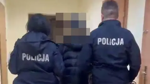 Dwóch nastolatków pobiło koleżankę