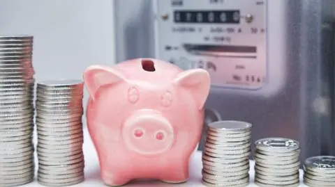 Z czego biorą się ceny na naszych rachunkach za prąd?