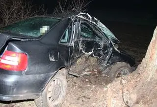 Samochód uderzył w drzewo