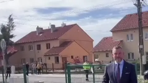 Candidate Pellegrini