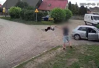 Chwycił psa i rzucił go na drogę. 29-latek usłyszał zarzut