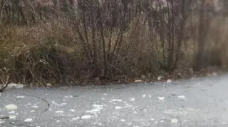 10-latek utknął na wysepce pośrodku oczka wodnego