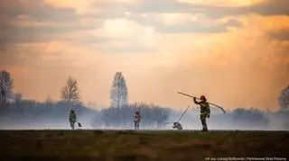 Spłonęły ponad 184 hektary parku narodowego. Decyzja prokuratury