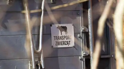 superwizjer rzeznie