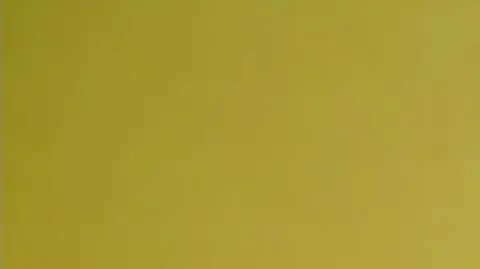 Profesor Pisarska: w Rosji panuje dzisiaj paranoja