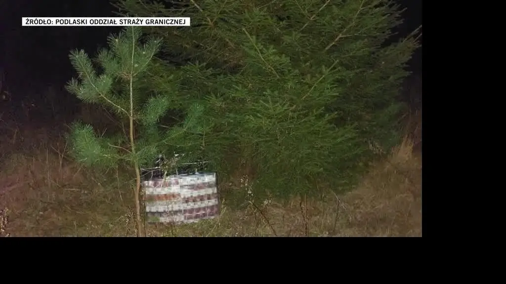 Podlaski Oddział Straży Granicznej