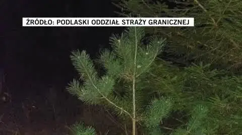 Podlaski Oddział Straży Granicznej