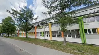 Drzewa były zdrowe i rosły przed ich zatruciem (zdjęcie 2019 rok)