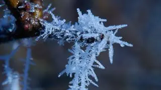 -30 stopni przy gruncie. Za nami mroźna noc