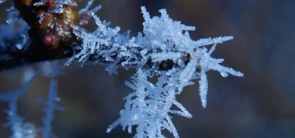 -30 stopni przy gruncie. Za nami mroźna noc