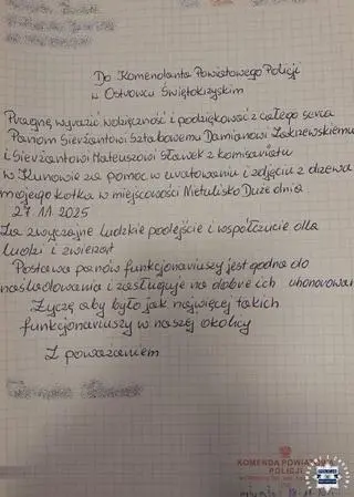 Właścicielka dziękuje