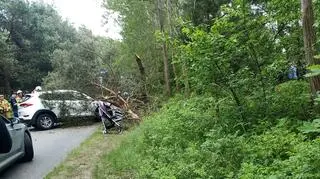Kierująca uderzyła w drzewo