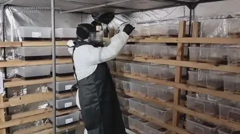 Klatka kluczowa-149828