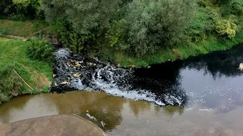 Co wpłynęło do Sanu?
