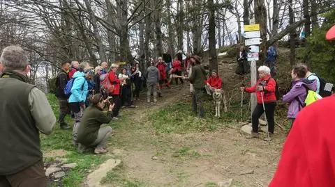 W Bieszczadach powstała nowa ścieżka na Łopiennik