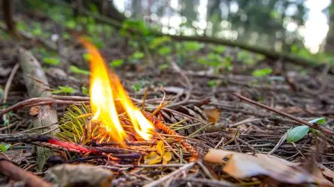 Alert RCB. "Duże zagrożenie pożarowe lasów"