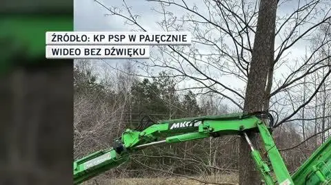 Podczas prac samochód przechylił się i docisnął do drzewa operatora dźwigu