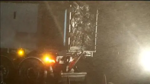 Zakopują śmieci, zgarniają miliony. Kulisy mafii śmieciowej