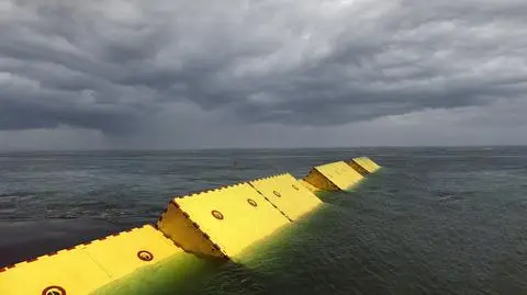 shutterstock_2234680171