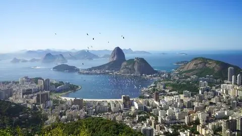 shutterstock_2630540557