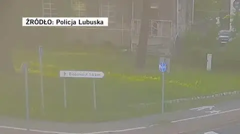 policja lubuska