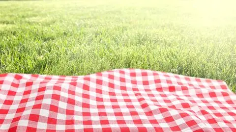 PIKNIK