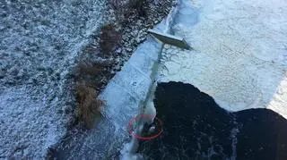 Miejsce, gdzie kaczka była przymarznięta