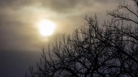 Pochmurny, zimowy dzień