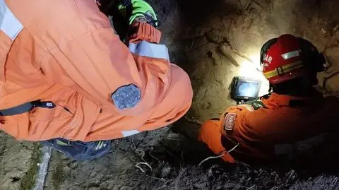 Pies utknął 3,5 metra pod ziemią. Z leśnej nory wyciągnęli go strażacy 
